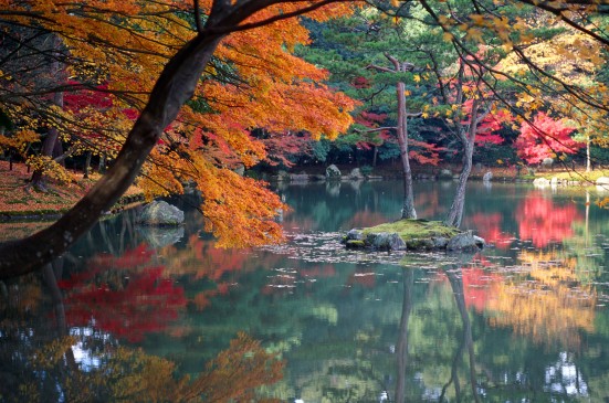 Kyoto autumn