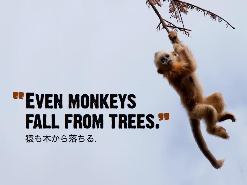 even-monkeys.jpg