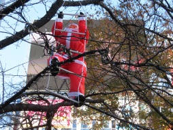 Santas in trees in Shibuya